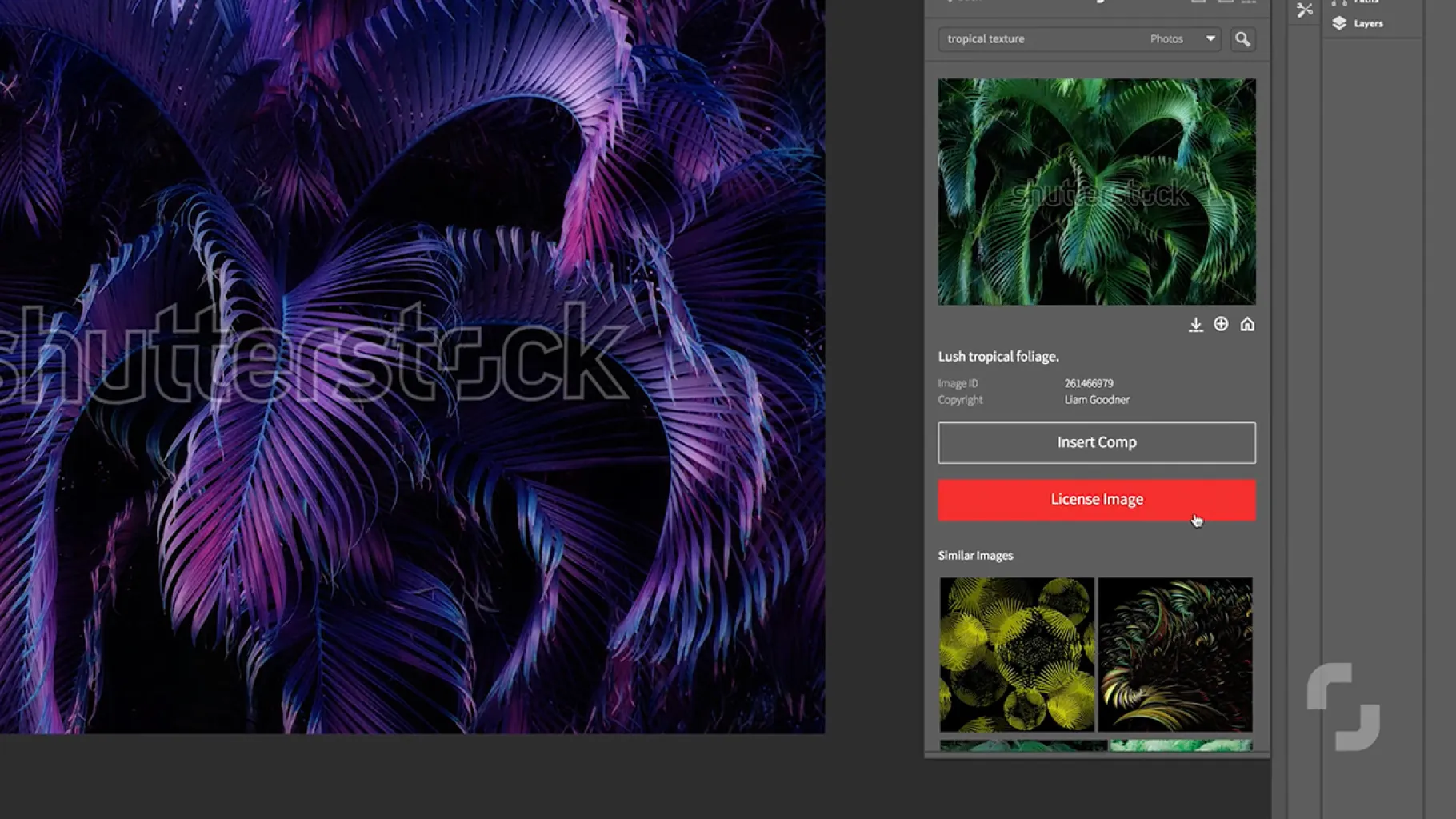 A Shutterstock image of tropical foliage in an Adobe app, with the plugin’s Insert Comp and License Image buttons